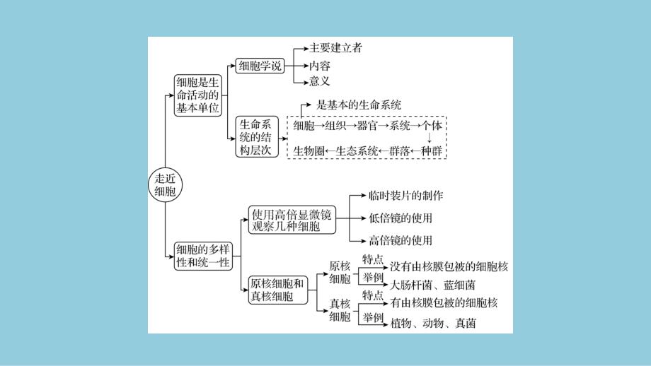 2024生物学必修第一册(配人教版)课件：第1章　章末总结_第3页