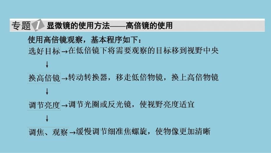 2024生物学必修第一册(配人教版)课件：第1章　章末总结_第5页