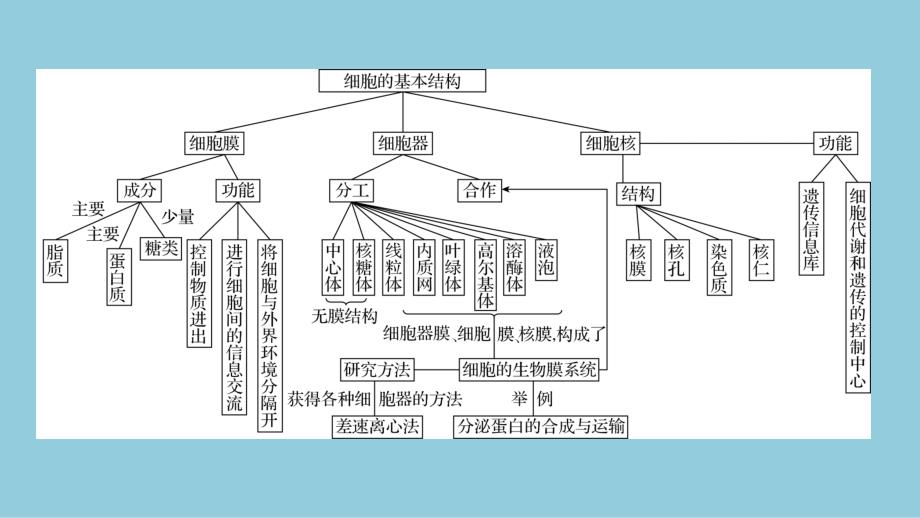 2024生物学必修第一册(配人教版)课件：第3章　章末总结_第3页