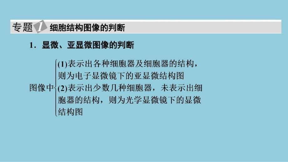 2024生物学必修第一册(配人教版)课件：第3章　章末总结_第5页