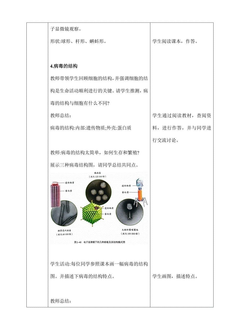 2024年秋初中生物七年级上册教学设计（最新教案）第四节 病毒_第5页