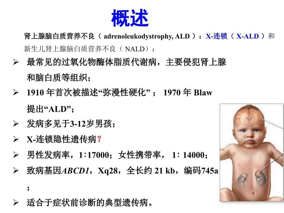 医学教材 X-连锁肾上腺脑白质营养不良病_第5页