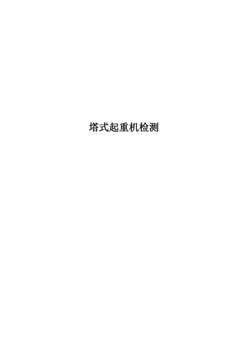 2022塔式起重机检测记录