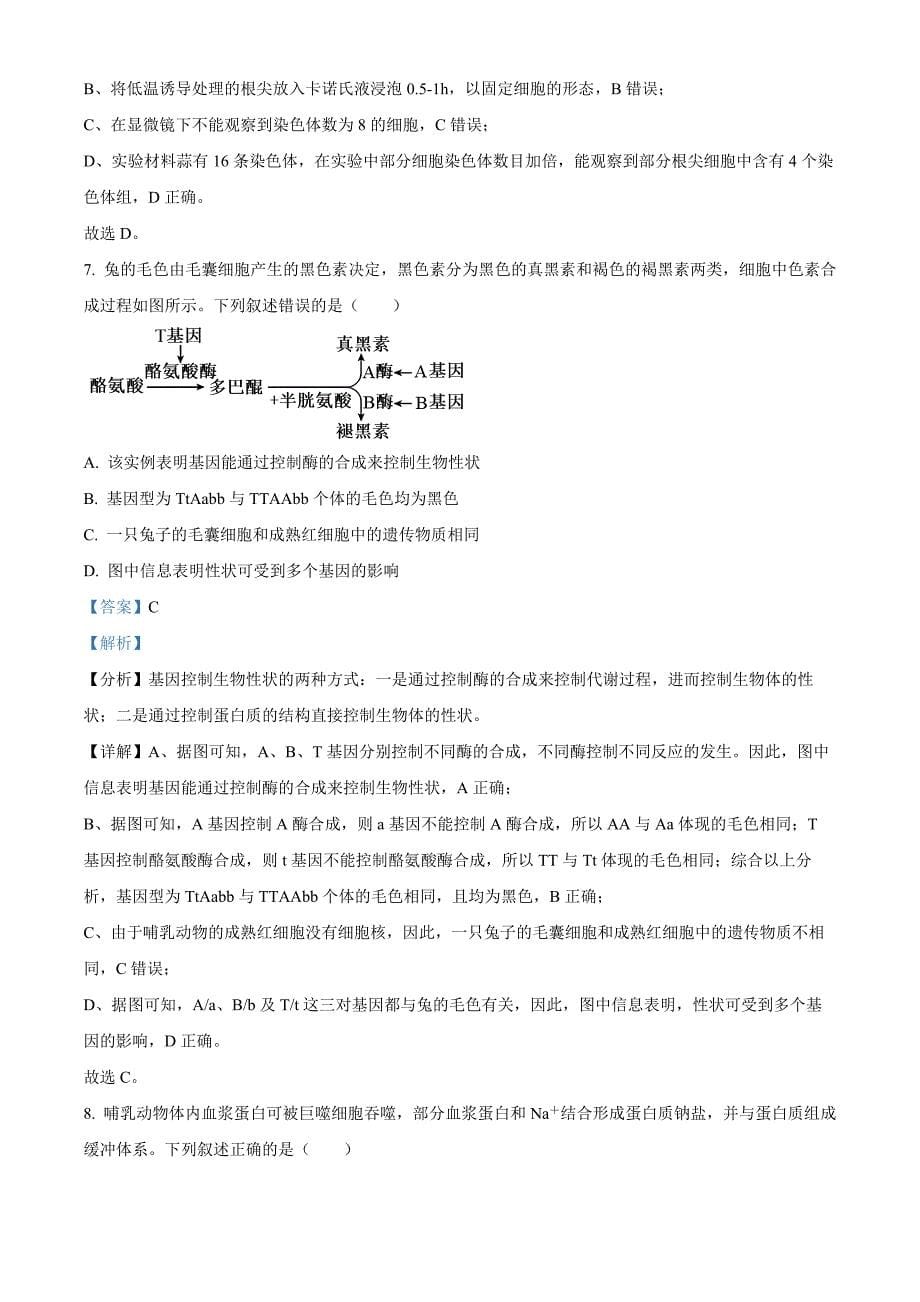 湖北省云学部分重点高中2024-2025学年高二上学期9月月考生物（解析版）_第5页