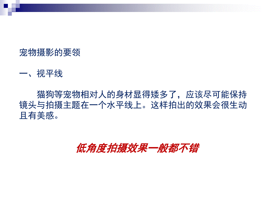 宠物摄影技巧培训课件_第3页