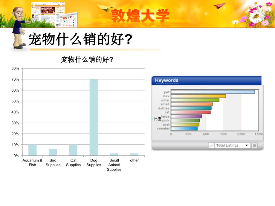 宠物狗用品产品线解读培训课件_第4页