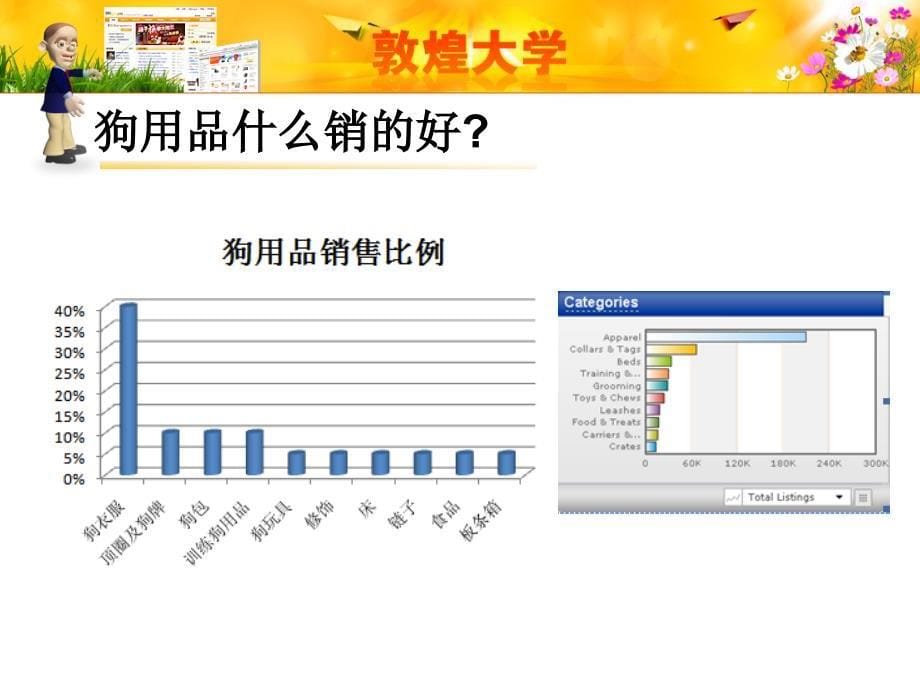 宠物狗用品产品线解读培训课件_第5页