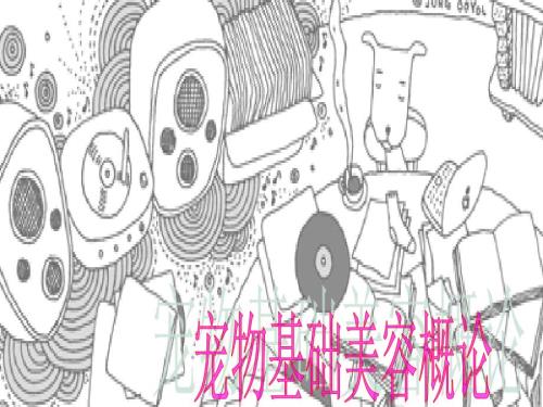 宠物基础美容概论培训课件