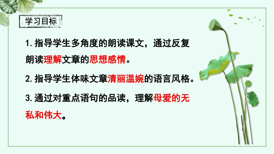 人教部编版七年级语文上册《荷叶母亲》示范课教学课件_第3页