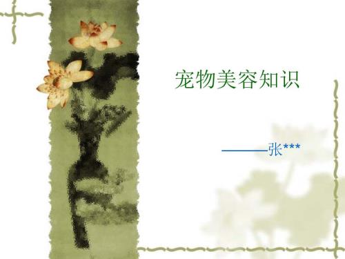 宠物美容知识培训课件