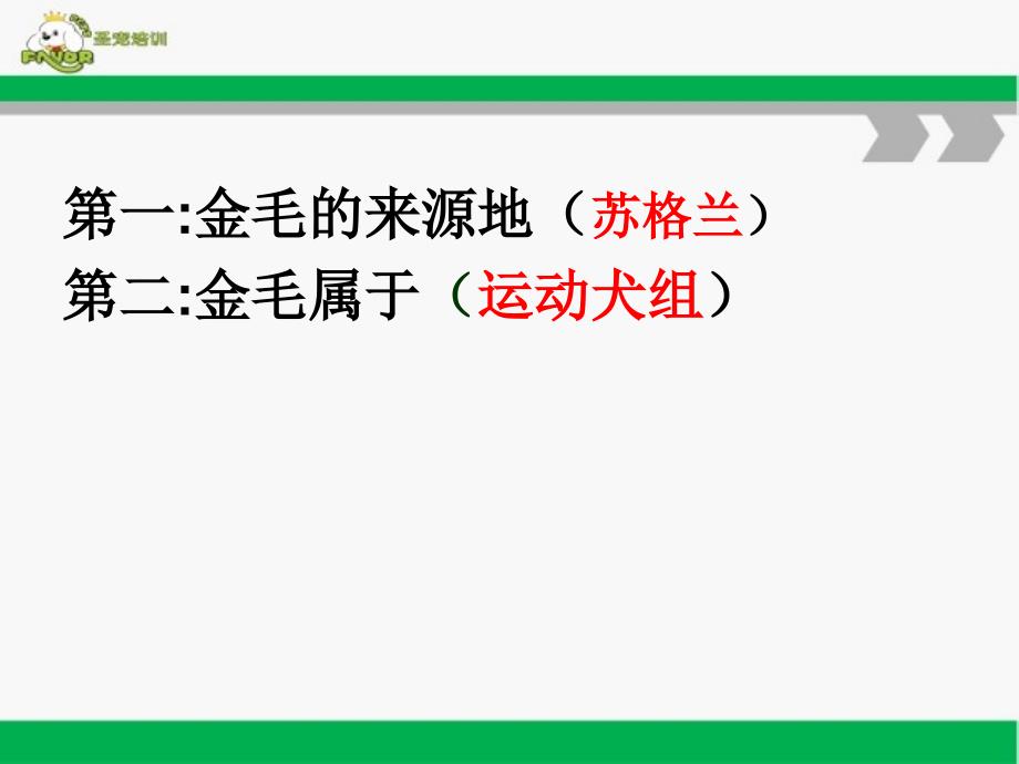 宠物美容师课程之金毛寻回猎犬美容方法培训课件_第2页