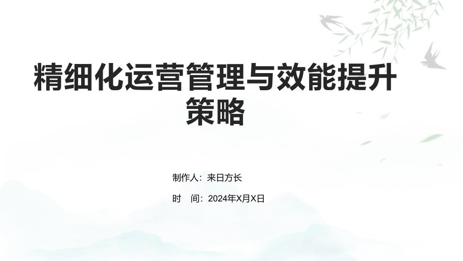 精细化运营管理与效能提升策略_第1页