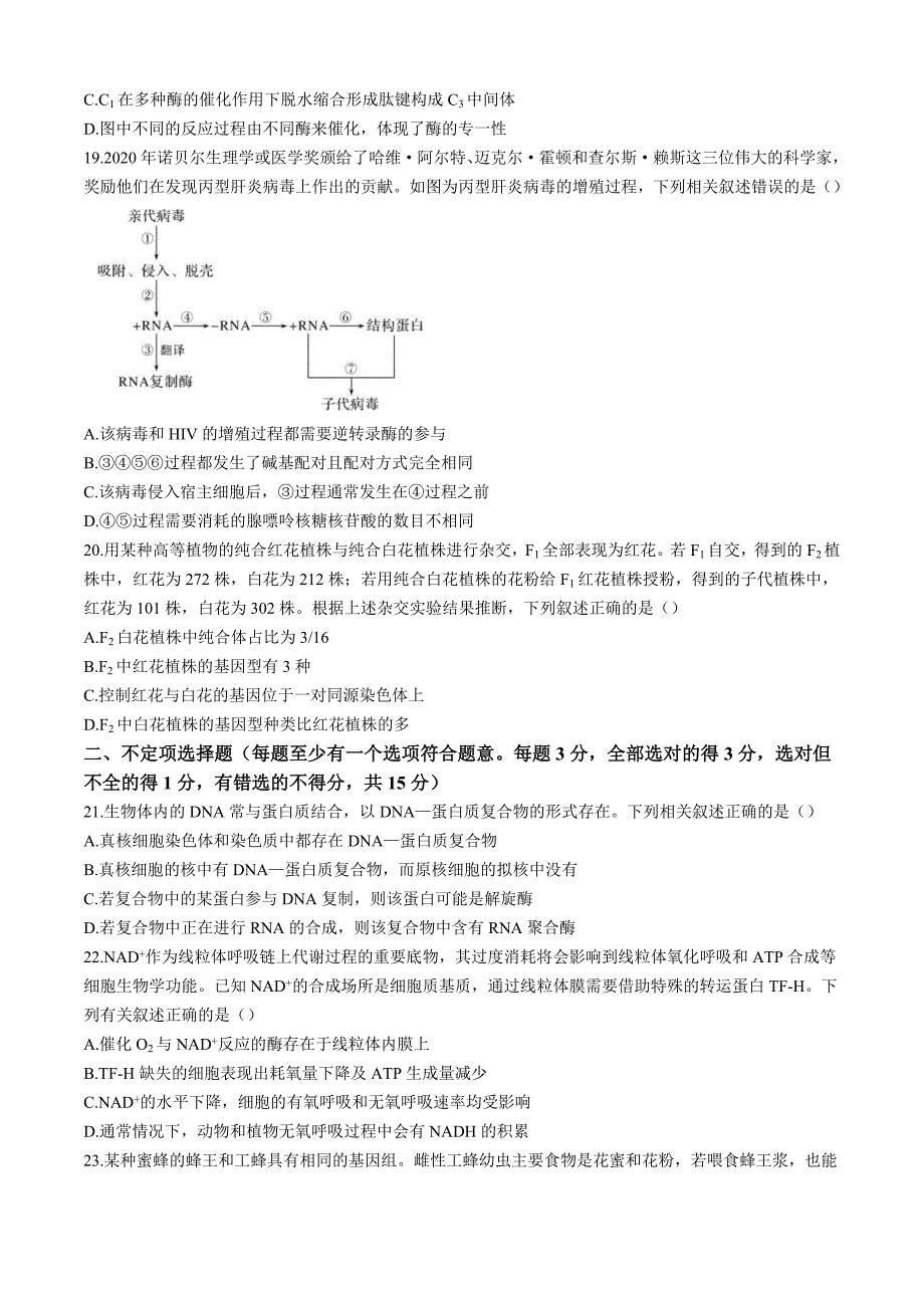 黑龙江省哈尔滨市第三2024-2025学年高三10月月考试卷生物（含答案）_第4页