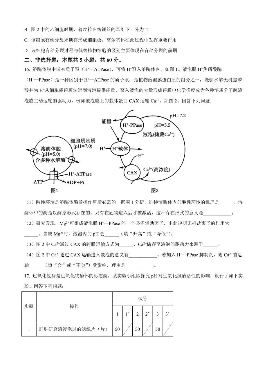 福建省百校联考2024-2025学年高三上学期10月测评试卷生物（含答案）_第5页