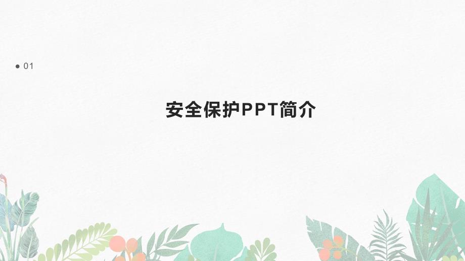 安全保护PPT_第3页