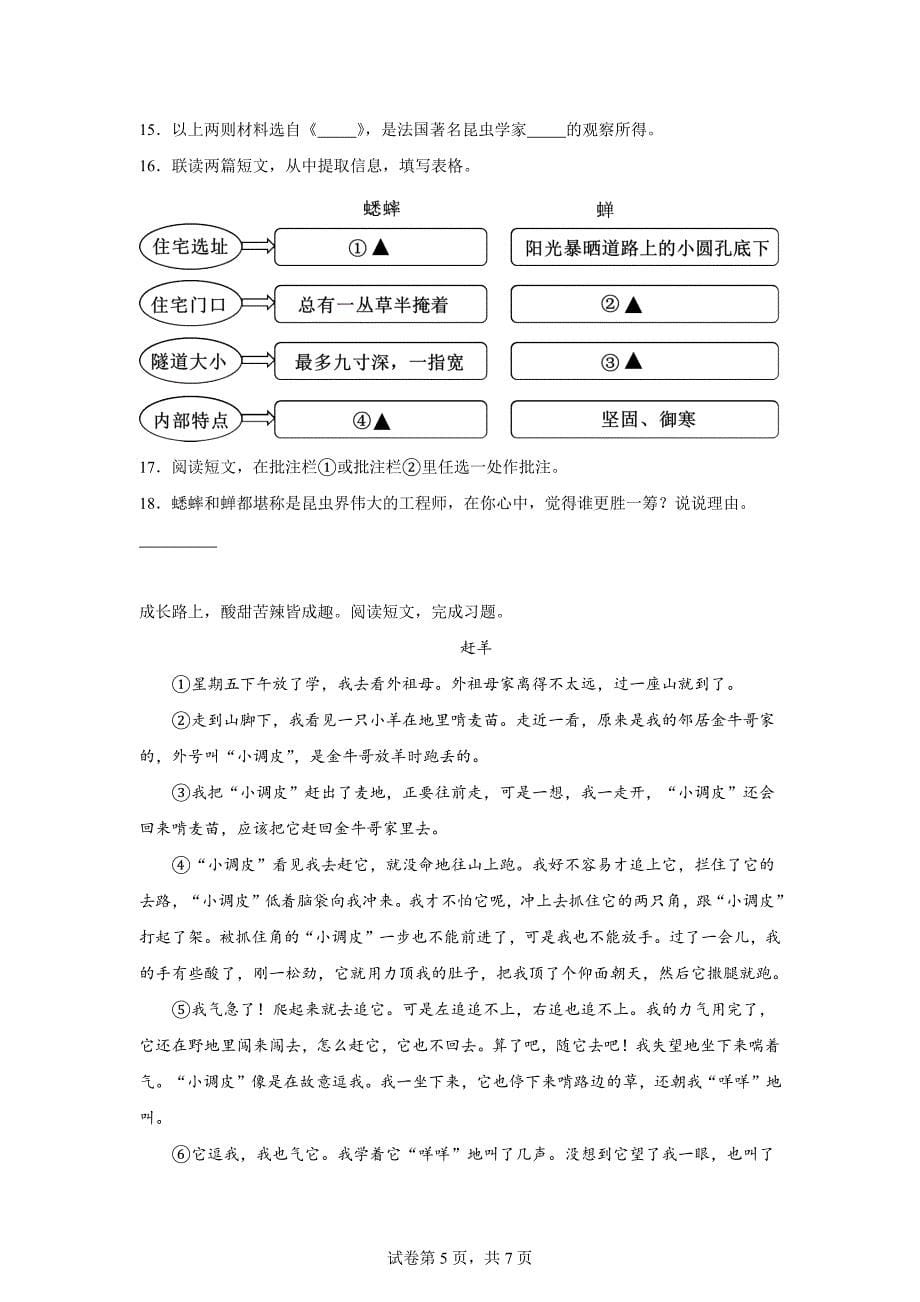 2023-2024学年浙江省台州市三门县部编版四年级上册期末考试语文试卷[含答案]_第5页