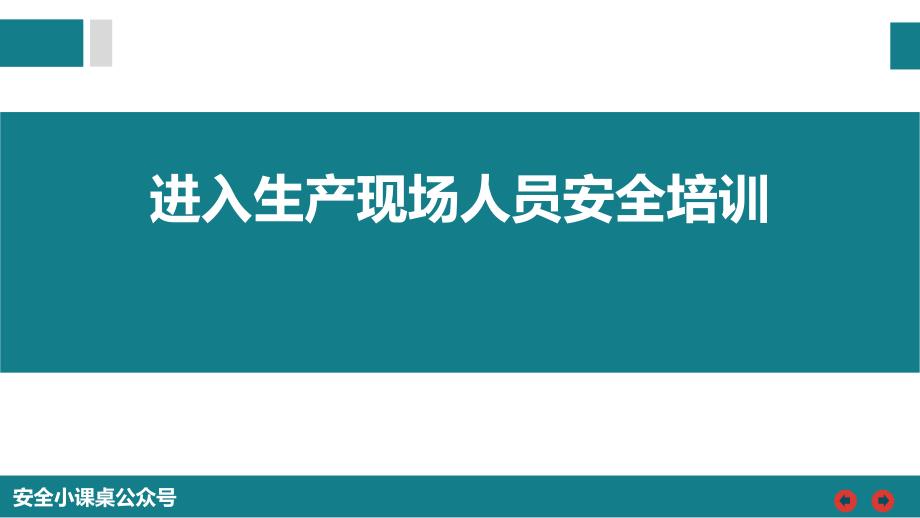 进入生产现场人员安全培训_第1页