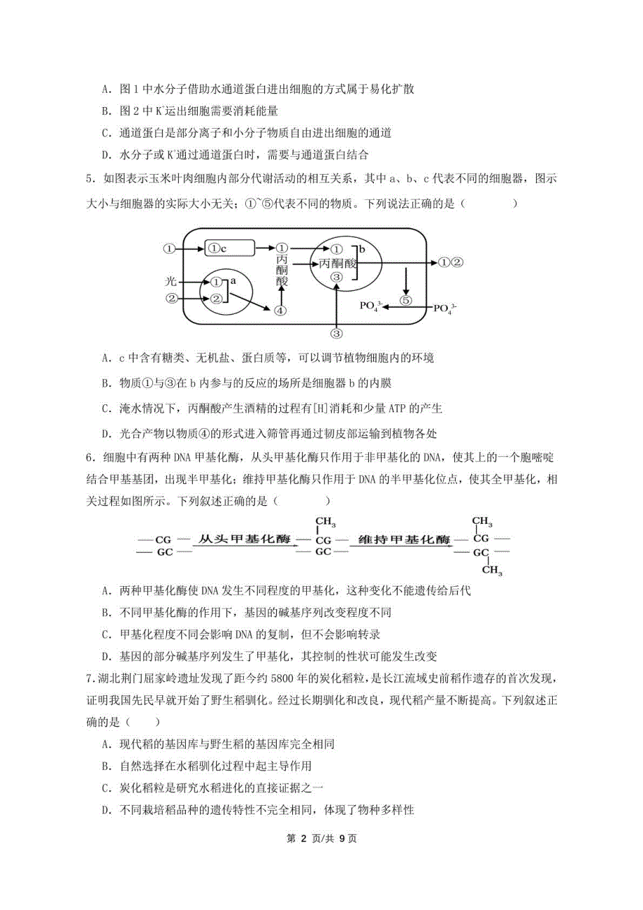 广东省揭阳市2024-2025学年高三上学期8月月考生物试题_第2页