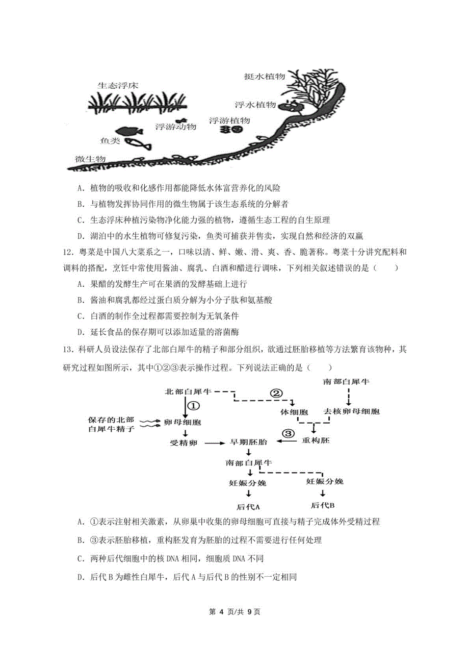 广东省揭阳市2024-2025学年高三上学期8月月考生物试题_第4页