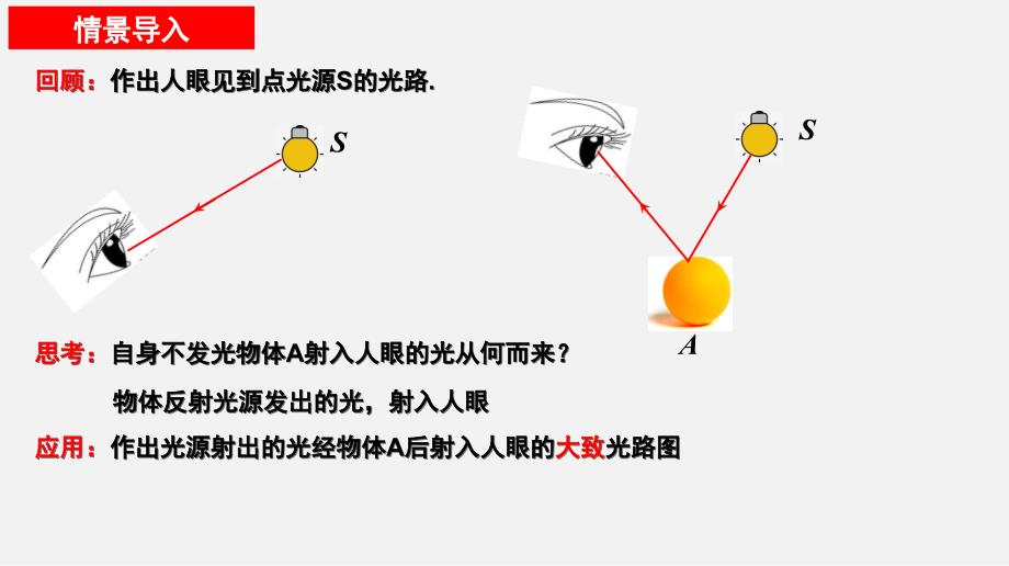 光的反射（1）（新教材）2024-2025学年八年级物理上册同步课件（苏科版）_第1页