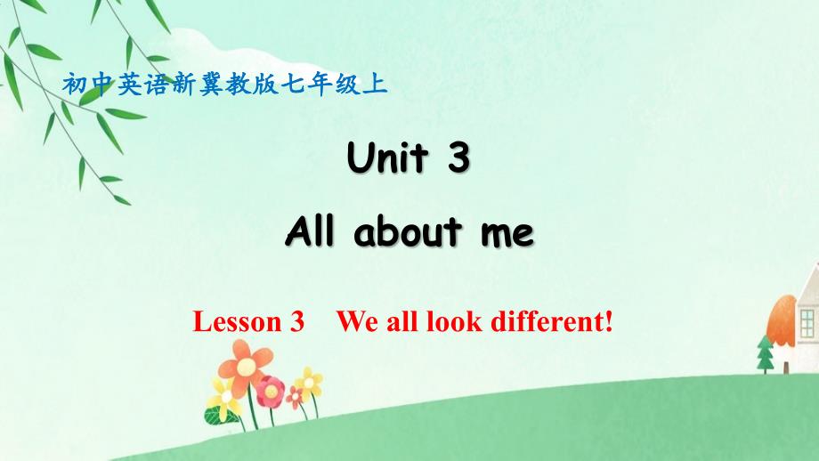 冀教版（2024新版）英语Unit 3 Lesson 3 We all look different 同步课件 2024-2025学年七年级上册_第1页