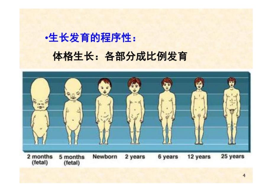 《儿童保健学》体格评价 教学课件_第4页