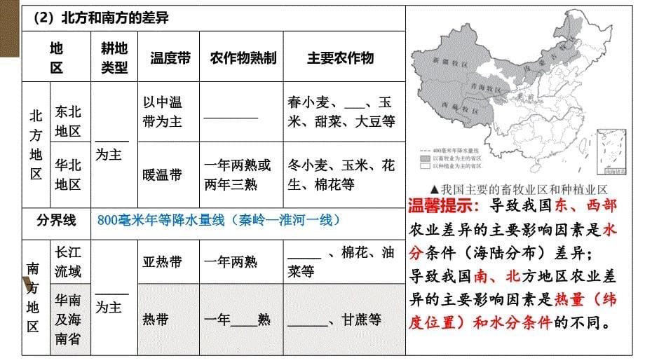 2024年中考地理复习++经济与文化课件_第5页