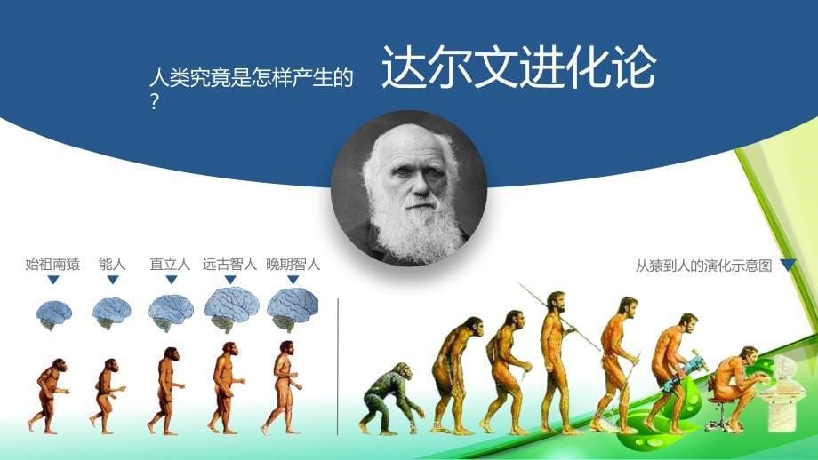 统编版2024--2025学年度第一学期七年级历史上册第一单元第一课《远古时期的人类活动》同步课件_第5页