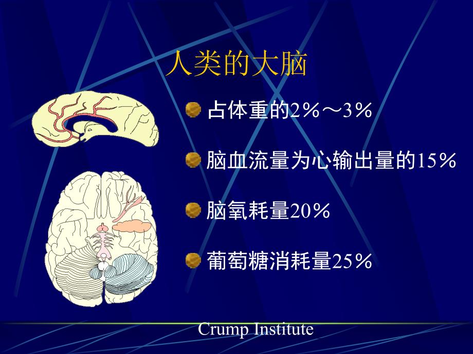 医学教程 痴呆的早期诊断和预防43x_第3页