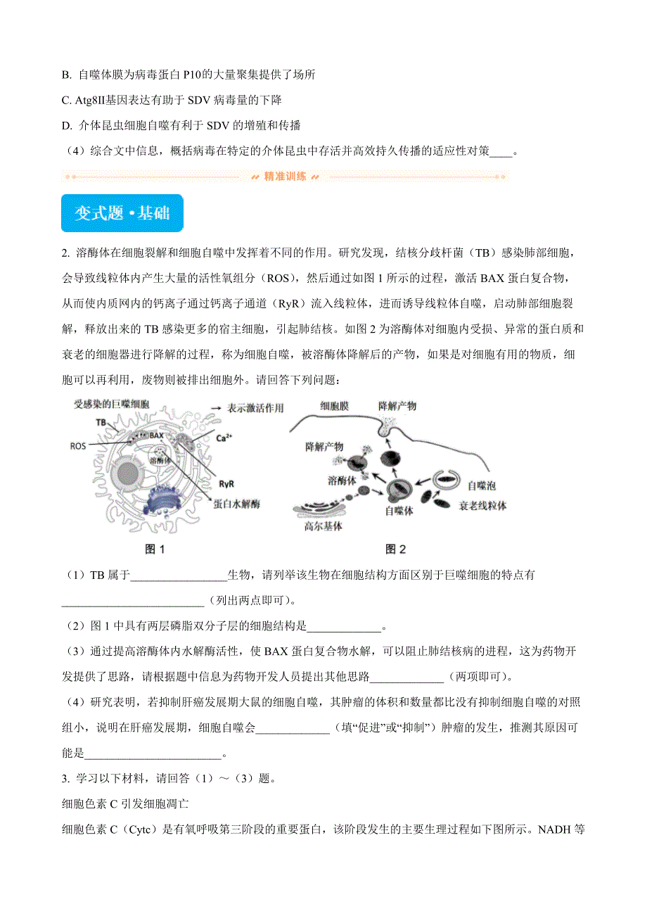 2024届北京市丰台区高三二模生物试题变式20-21Word版无答案_第2页