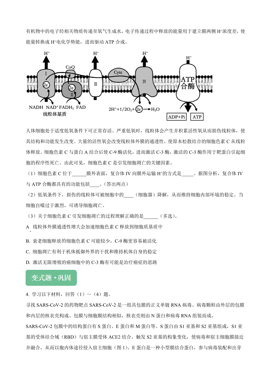 2024届北京市丰台区高三二模生物试题变式20-21Word版无答案_第3页