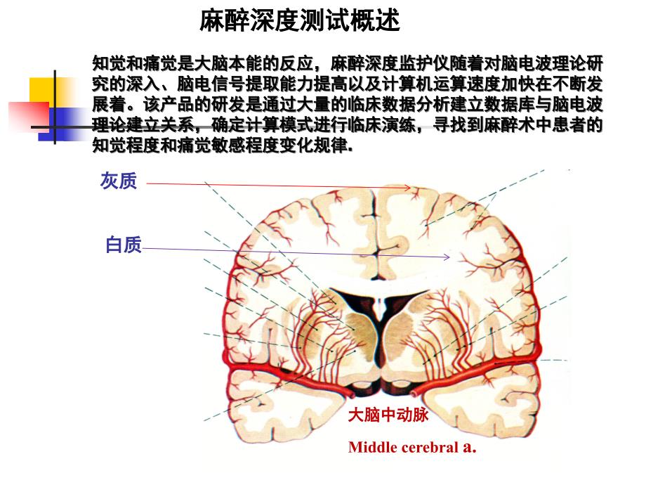 医学教程 脑电麻醉深度_第2页