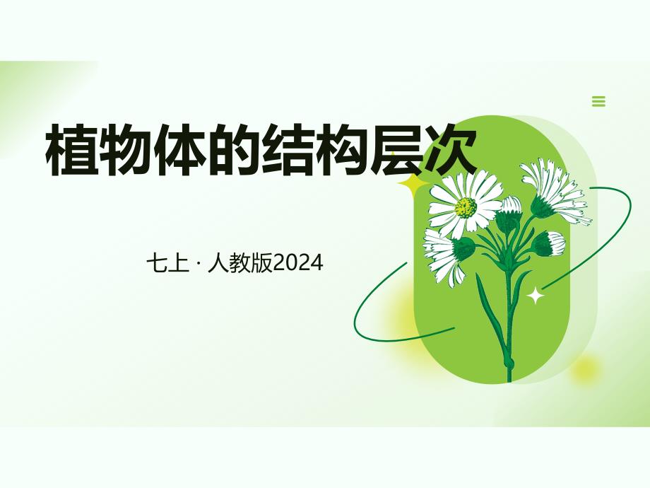 植物体的结构层次课件2024--2025学年人教版生物七年级上册_第1页