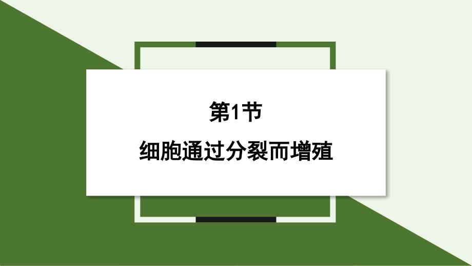 细胞通过分裂而增殖课件2024-2025学年北师大版生物七年级上册_第1页