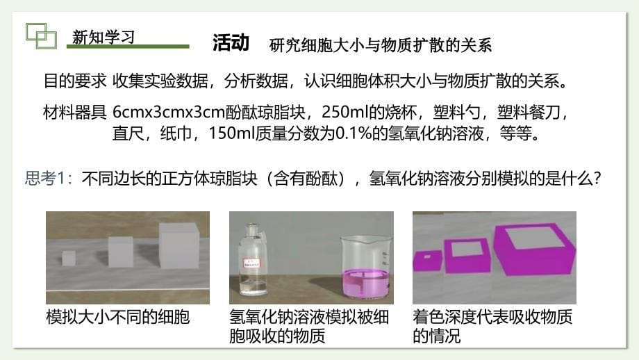 细胞通过分裂而增殖课件2024-2025学年北师大版生物七年级上册_第5页