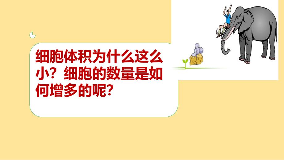 细胞通过分裂而增殖课件2024--2025学年北师大版生物七年级上册_第3页