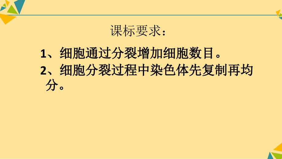 细胞通过分裂产生新细胞课件2024-2025学年人教版生物七年级上册_第2页