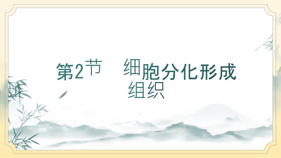 细胞分化形成组织课件2024-2025学年北师大版生物七年级上册_第1页