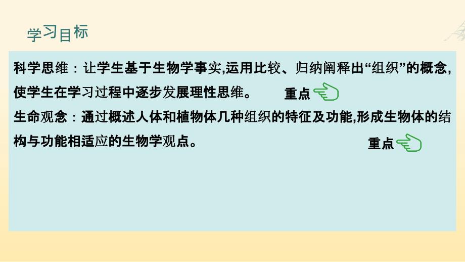 细胞分化形成组织课件2024-2025学年北师大版生物七年级上册_第2页