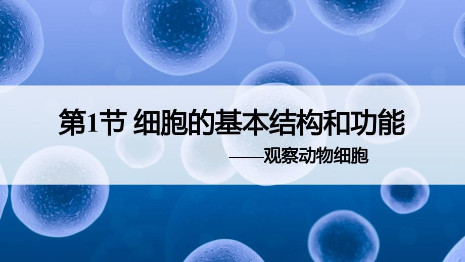 细胞的基本结构和功能课件2023-2024学年北师大版生物七年级上册_第1页