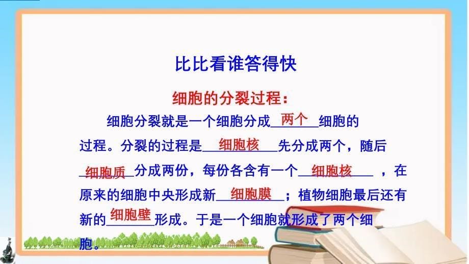 细胞分化形成组织2024-2025学年七年级生物上册同步课件（北师大版2024）_第5页