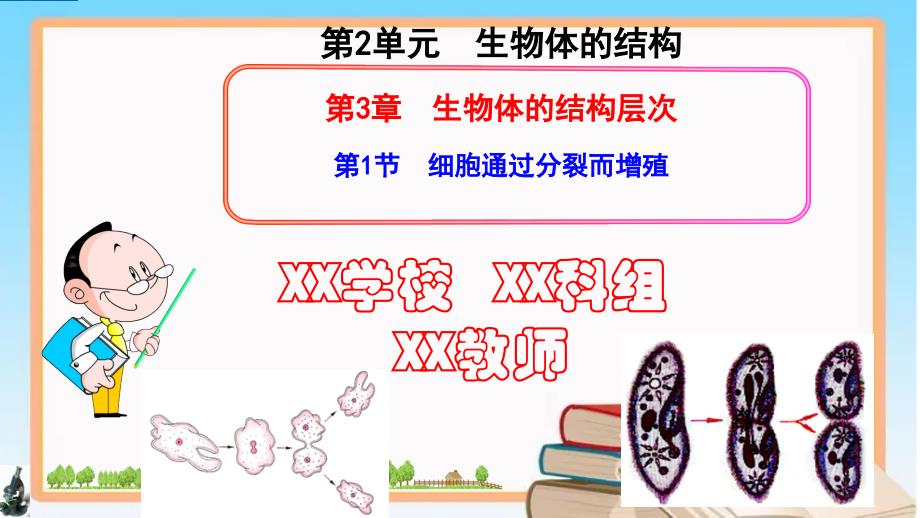 细胞通过分裂而增殖-2024-2025学年七年级生物上册同步课件（北师大版2024）_第2页