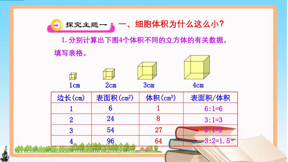 细胞通过分裂而增殖-2024-2025学年七年级生物上册同步课件（北师大版2024）_第4页