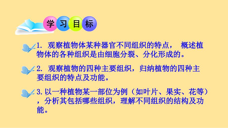 细胞分化形成组织（植物具有多种组织）课件-2024-2025学年北师大版生物七年级上册_第2页