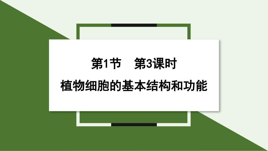 植物细胞的基本结构和功能第3课时课件2024-2025学年北师大版生物七年级上册_第1页