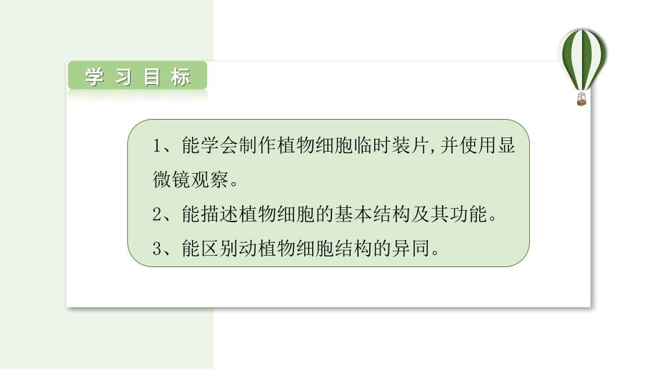 植物细胞的基本结构和功能第3课时课件2024-2025学年北师大版生物七年级上册_第2页