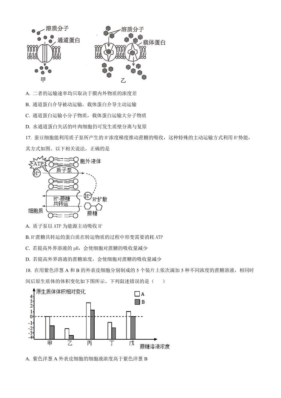 四川省南充市高坪区白塔中学2024-2025学年高三上学期9月入学考试生物试题 Word版无答案_第5页