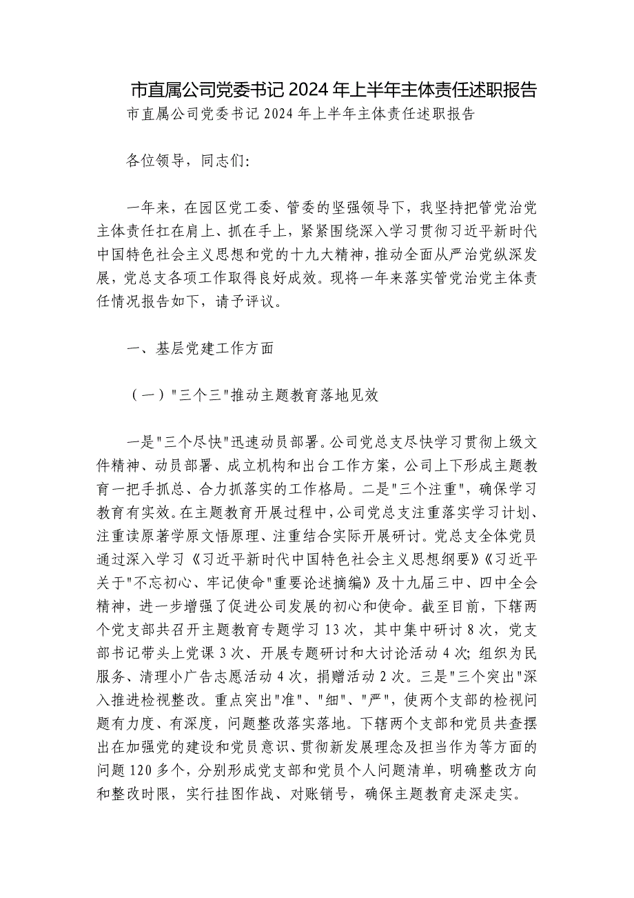 市直属公司党委书记2024年上半年主体责任述职报告_第1页