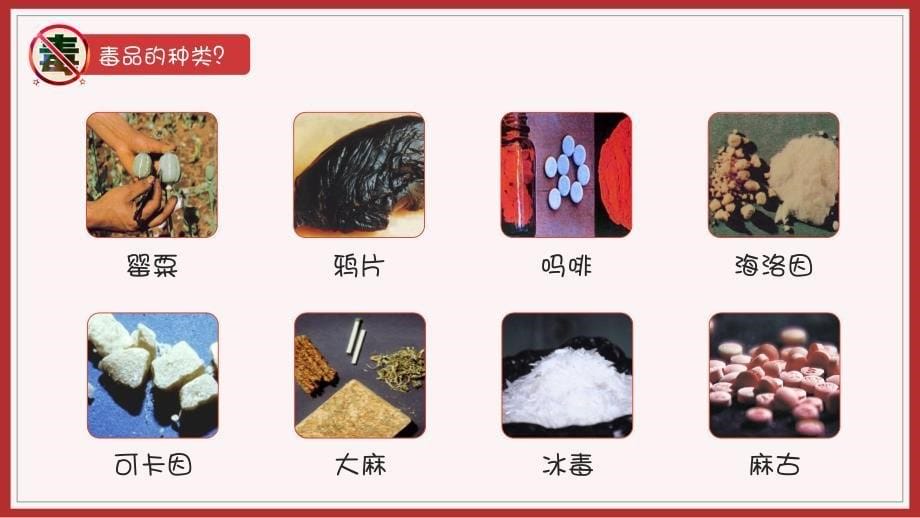 禁du宣传主题班会之珍爱生命 远离du品-12 PPT课件_第5页