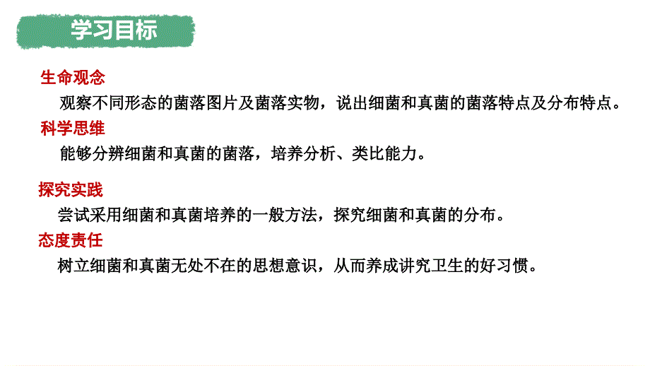 生 物微生物的分布课件-2024--2025学年人教版（2024）生物七年级上册_第2页